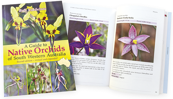 A Guide to Native Orchids of South Western Australia