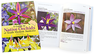 A Guide to Native Orchids of South Western Australia