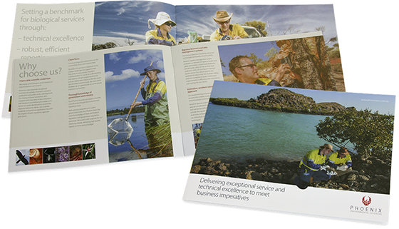 Phoenix Environmental Sciences brochure